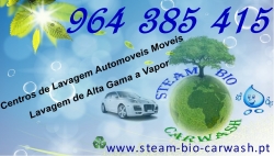 steam bio carwash